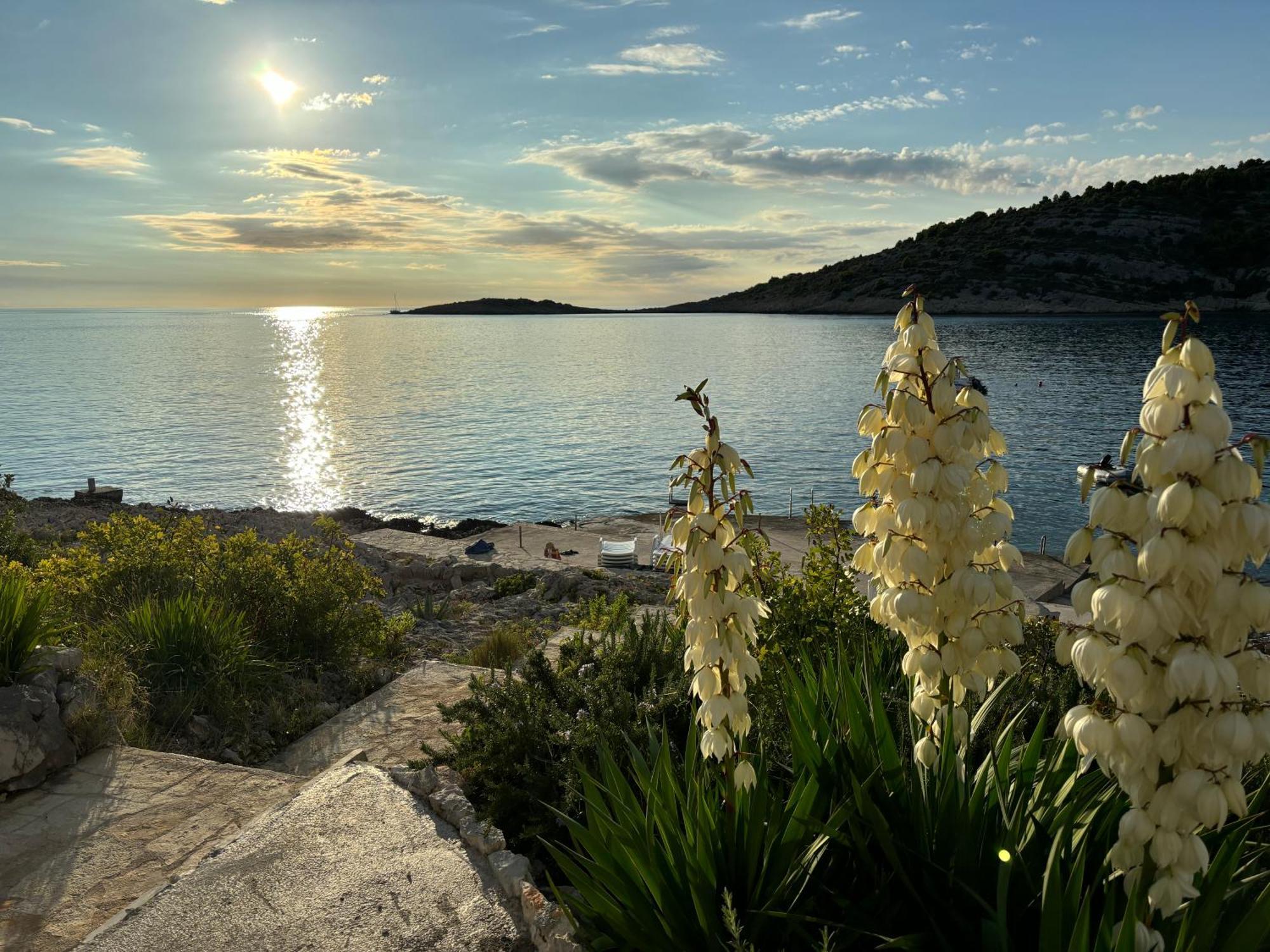 Direkt Am Meer-Apartments Puntaplanka Rogoznica  Extérieur photo